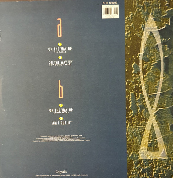Elisa Fiorillo : On The Way Up (12", Maxi)