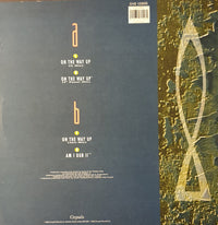 Elisa Fiorillo : On The Way Up (12", Maxi)