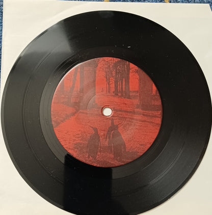 Cathode Ray Mission : It's Not Heaven (7")