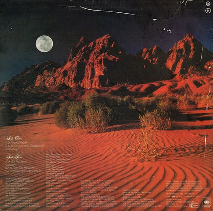 Blue Öyster Cult : Some Enchanted Evening (LP, Album)
