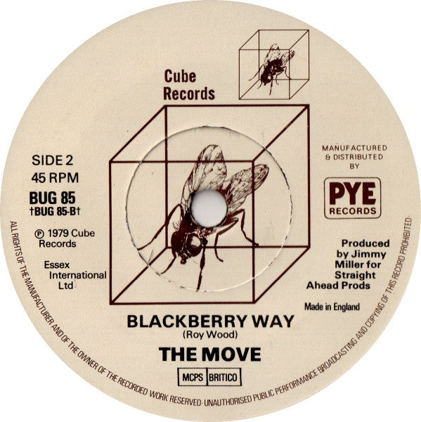 The Move : Flowers In The Rain (7")