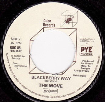 The Move : Flowers In The Rain (7")