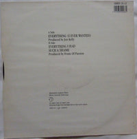 Fruits Of Passion : Everything (I Ever Wanted) (12", Single)
