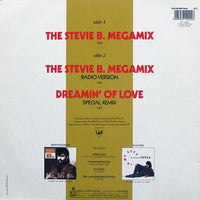 Stevie B : The Stevie B. Megamix (12", Maxi)