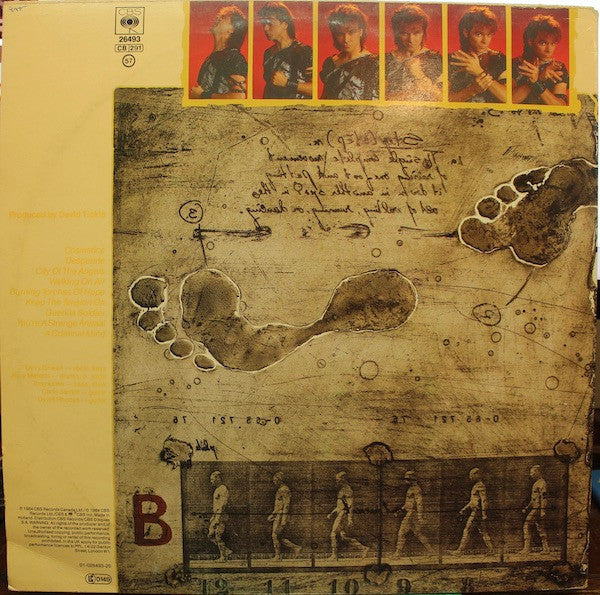 Gowan : Strange Animal (LP, Album)