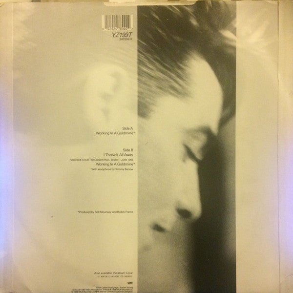 Aztec Camera : Working In A Goldmine (12")