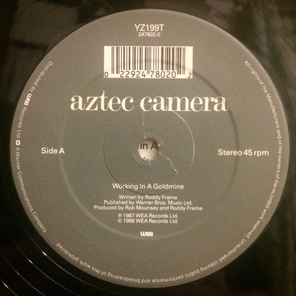 Aztec Camera : Working In A Goldmine (12")