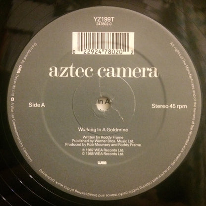 Aztec Camera : Working In A Goldmine (12")