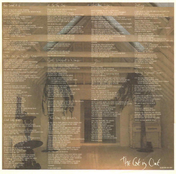 Judie Tzuke : The Cat Is Out (LP, Album)