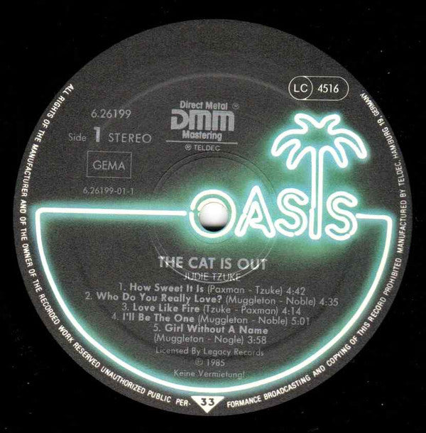 Judie Tzuke : The Cat Is Out (LP, Album)