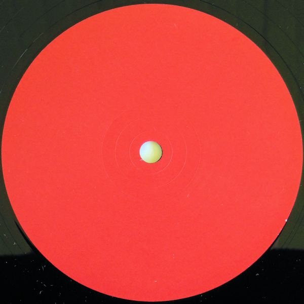 Finitribe : Monster In The House (12")
