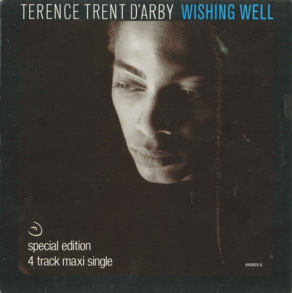 Terence Trent D'Arby : Wishing Well (12", Maxi, S/Edition)