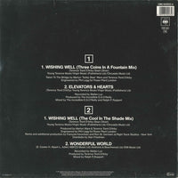 Terence Trent D'Arby : Wishing Well (12", Maxi, S/Edition)