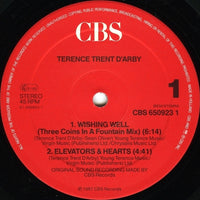 Terence Trent D'Arby : Wishing Well (12", Maxi, S/Edition)