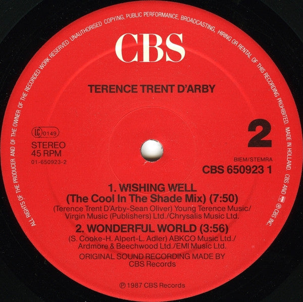 Terence Trent D'Arby : Wishing Well (12", Maxi, S/Edition)