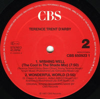 Terence Trent D'Arby : Wishing Well (12", Maxi, S/Edition)