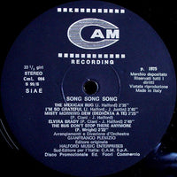 Gianfranco Plenizio : Song Song Song (LP)