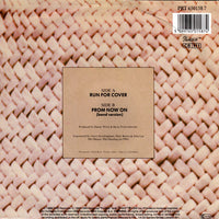 Basia : Run For Cover (7", Single)