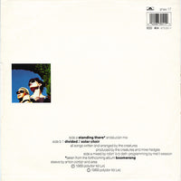 The Creatures : Standing There (12", Single)