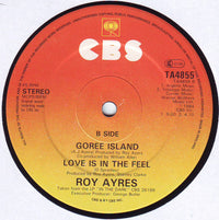 Roy Ayers : In The Dark (12", Single)