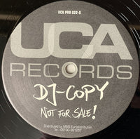Passion Wave : Tell Me Why (12", Promo)