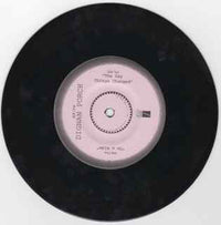 Dignan Porch : On A Ride / The Day Things Changed (7", Single)