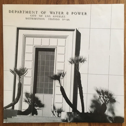 Hole (2) : Celebrity Skin (LP, Album, RP)