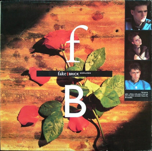 Fake : Brick (12", Maxi)