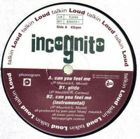 Incognito : Can You Feel Me (12")