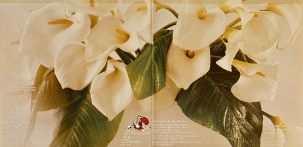 Jane : Between Heaven And Hell (LP, Album, Gat)