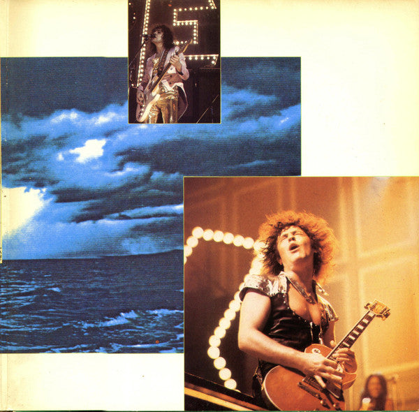 T. Rex : The Collection (2xLP, Comp)