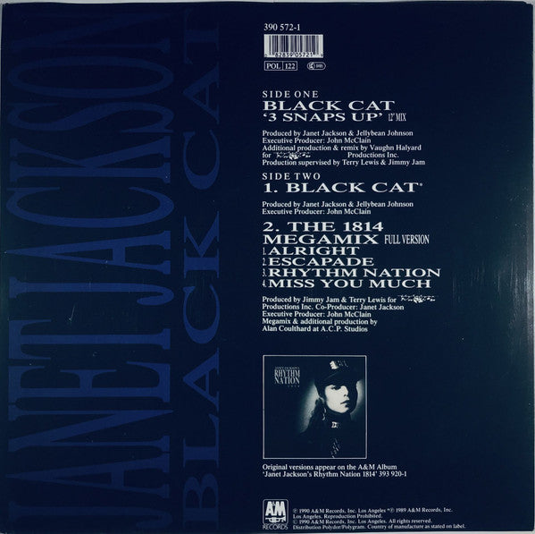 Janet Jackson : Black Cat (12")