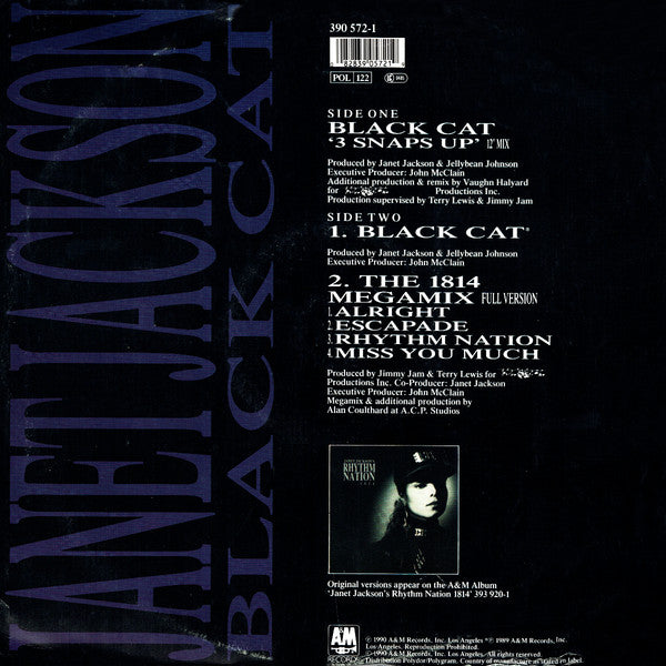 Janet Jackson : Black Cat (12")