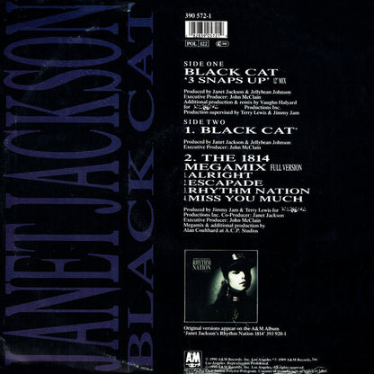 Janet Jackson : Black Cat (12")