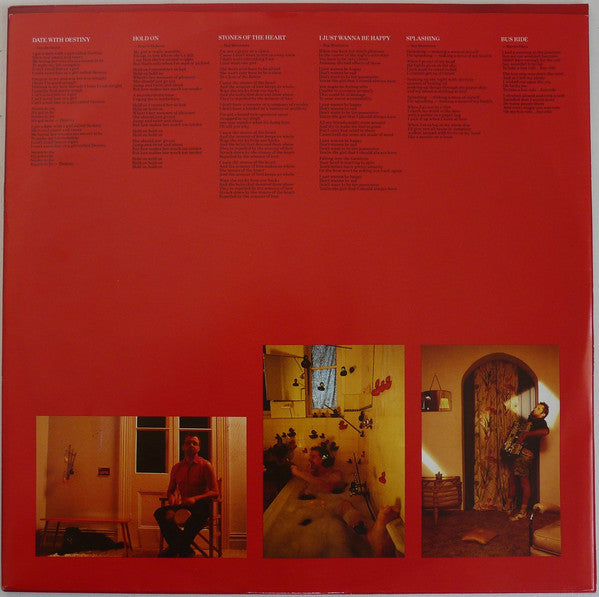 Mental As Anything : Fundamental (LP, Album)