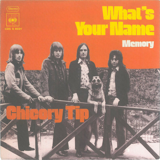 Chicory Tip : What's Your Name (7", Single)