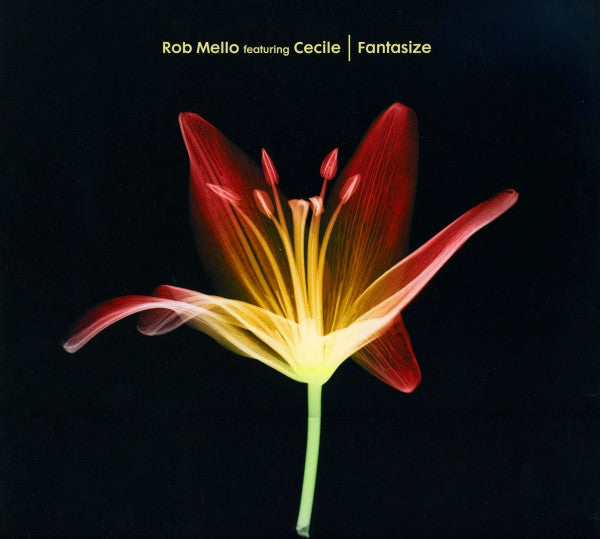 Rob Mello Featuring Cecile* : Fantasize (12")