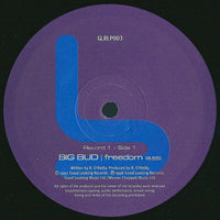 Various : Logical Progression Level 3 (3x12", Comp, Ltd)