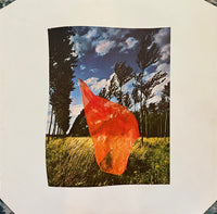 Pink Floyd : Wish You Were Here (LP, Album)