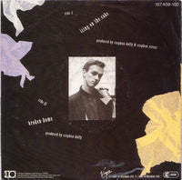 Stephen Tintin Duffy* : Icing On The Cake (7", Single)