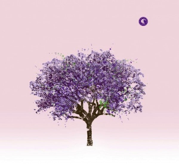Eels : Tomorrow Morning (LP, Album, Gat + 7", EP)