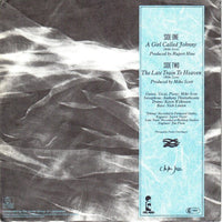 The Waterboys : A Girl Called Johnny (7", Single)
