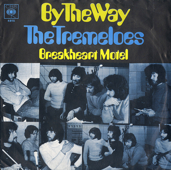 The Tremeloes : By The Way (7", Single, Mono)