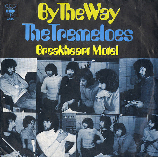 The Tremeloes : By The Way (7", Single, Mono)