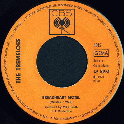 The Tremeloes : By The Way (7", Single, Mono)