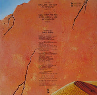 The B-52's : Mesopotamia (LP, Album)
