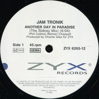 Jam Tronik : Another Day In Paradise (The Sidney Mix) (12")