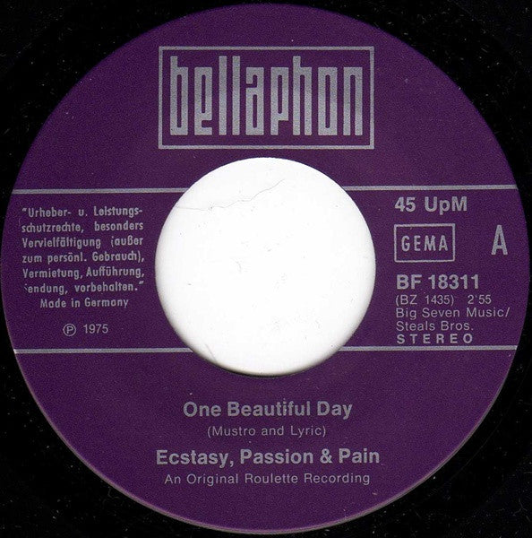 Ecstasy, Passion & Pain : One Beautiful Day (7")