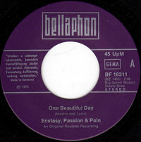 Ecstasy, Passion & Pain : One Beautiful Day (7")