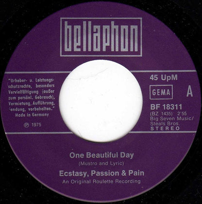 Ecstasy, Passion & Pain : One Beautiful Day (7")